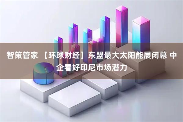 智策管家 【环球财经】东盟最大太阳能展闭幕 中企看好印尼市场潜力
