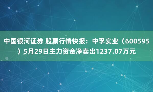 中国银河证券 股票行情快报:中孚实业(600595)5月29日主力资金净卖出1237.07万元